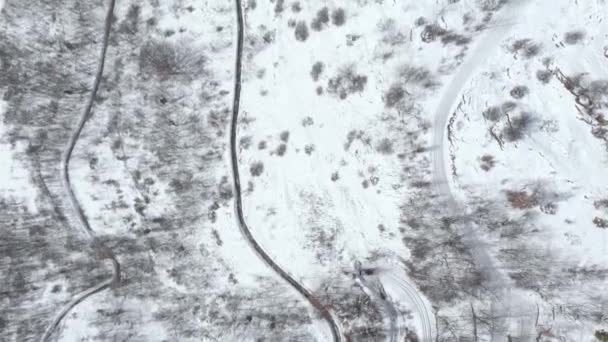 圣诞时节 空中鸟瞰着田园诗般的山村 山路蜿蜒 高山雪地林立 冬季白色苍茫 意大利阿尔卑斯山 — 图库视频影像