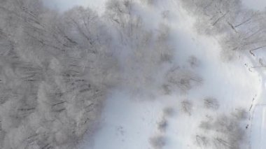 Aerial view of snowcapped mountains scenic valley idyllic mountain village and alpine woodland in winter season white landscape. The italian Alps.