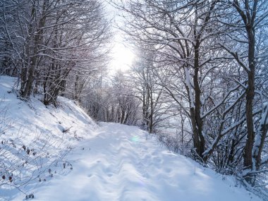 Snow in the italian Alps. Beautiful view of idyllic village in snowy forest and snowcapped mountain peaks. Piedmont, Italy. 