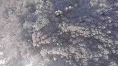 Aerial view of snowcapped mountains scenic valley idyllic mountain village and alpine woodland in winter season white landscape. The italian Alps.