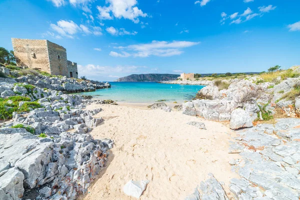 Yunanistan Görkemli Sahil Şeridinde Güzel Bir Sahil Koy Turkuaz Mavi — Stok fotoğraf