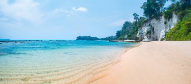 Andaman Adaları 'ndaki tropikal plajda kristal berraklığında süzülen su. Turkuaz su, arka planda yeşil orman olan el değmemiş kumlu bir sahilde nazikçe süzülüyor.