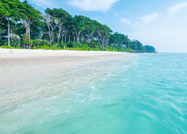 Andaman Adaları 'ndaki tropikal plajda kristal berraklığında süzülen su. Turkuaz su, arka planda yeşil orman olan el değmemiş kumlu bir sahilde nazikçe süzülüyor.