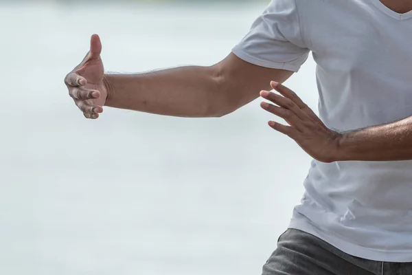 Genç adam parkta geleneksel Tai Chi Chuan, Tai Ji ve Qi gong pratiği yapıyor. .