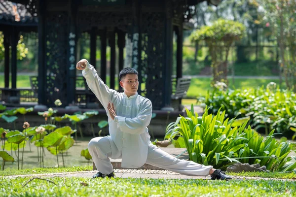 Asyalı adam sabah parkta Tai Chi ile antrenman yapıyor, Çin dövüş sanatları, sağlıklı yaşam konsepti için sağlıklı bakım..