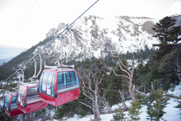 Çin 'de seyahat, turistler teleferikle Şangri-la' daki Shika Karlı Dağ 'ına gidiyorlar. Çin' in güneybatısındaki Yunnan Eyaleti, Çin..