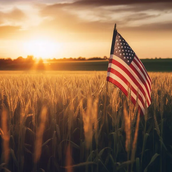 wheat field with sunset.  American flag