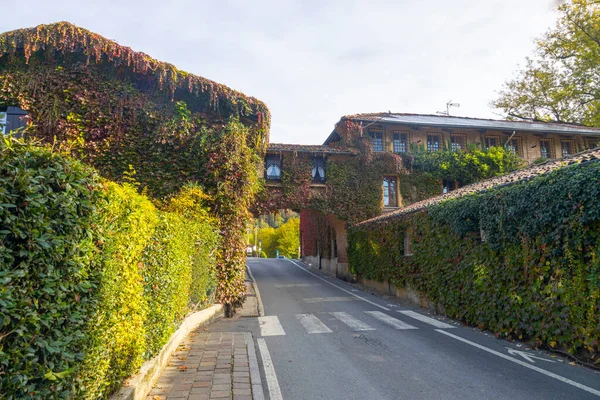 Building covered with climbing plants with Burcina Park on the background in autumn, province of Biella,  Italy
