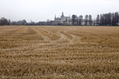 Pavia Certosa 'nın arka planında, Santa Maria delle Grazie Manastırı' nda, Pavia, Lombardiya, İtalya yakınlarındaki bir manastır ve tapınak içeren tarihi anıt kompleksine bakın.