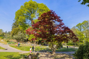 TORINO (TURIN), ITALY, 11 Nisan 2023 - Torino, Piedmont, İtalya 'daki Valentino Park manzarası