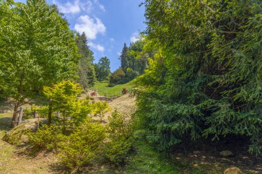 Yaz mevsiminde Burcina parkı, Biella, Piedmont, İtalya
