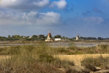 Trapani ve Paceco 'nun doğal koruma alanı, Trapani, Sicilya, İtalya