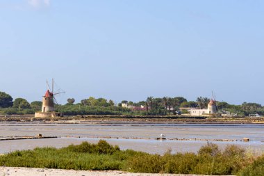 Trapani ve Paceco 'nun doğal koruma alanı, Trapani, Sicilya, İtalya