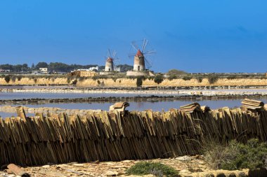 Trapani ve Paceco 'nun doğal koruma alanı, Trapani, Sicilya, İtalya