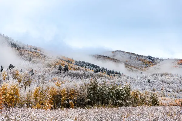 Ağaçlarda sonbahar renkleri olan karlı dağlar.