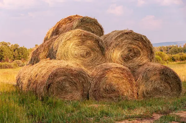 Yıpranmış saman yığını düşüyor