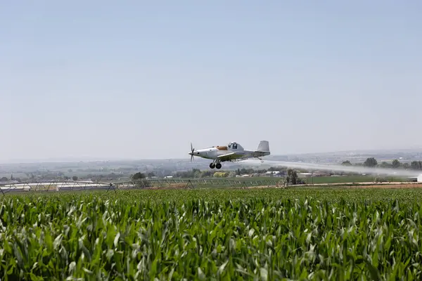 Kara dumanlı çöl yangını.