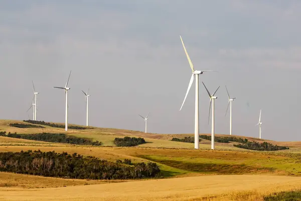 Kuru bir çiftliğin tepesinde yel değirmenleri