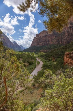 Zion Milli Parkı 'nın yeşil kanyonundaki nefes kesici manzara. Bakir nehrin ABD' nin Utah kentinden aktığı yer.