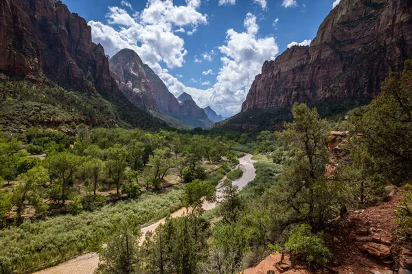 Breathtaking Scenery Green Canyon Zion National Park Virgin River Flows — Stock Photo, Image