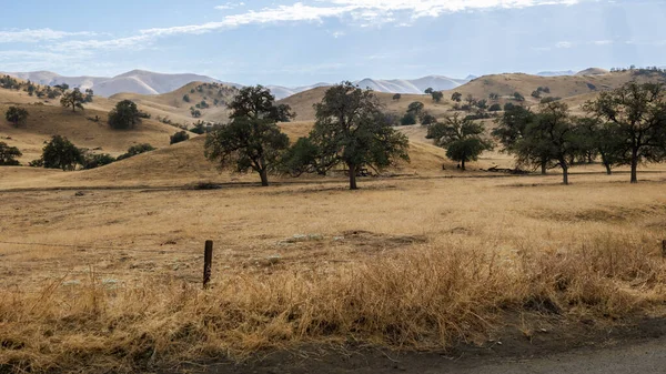 Kiszáradt Termőföld Sárga Aranyfűvel Dombokkal Kalifornia Késő Nyarán Usa — Stock Fotó