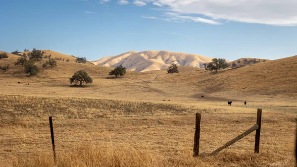 stock image Parched farmland with yellow gold grass and rolling hills in the late summer of California, USA