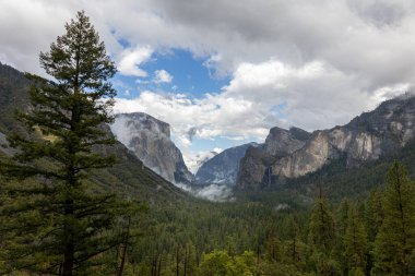 Yosemeti Ulusal Parkı 'nda kozalaklı, alçak bulutlu, bulutlu gökyüzü ve Kaliforniya, ABD' de sis parçacıkları bulunan bir vadi.