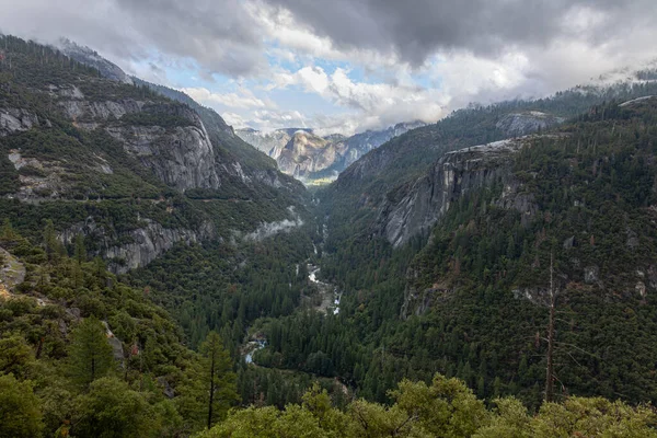 Vallée Dans Parc National Yosemeti Avec Des Conifères Nuages Bas — Photo
