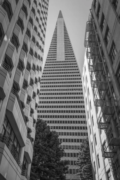 Transamerica Pyramid Grattacielo Futurista San Francisco California Stati Uniti Secondo — Foto Stock