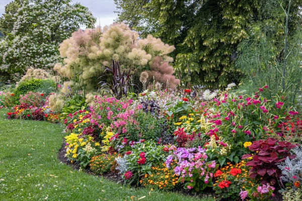 Fransız Vosges 'deki Epinal kasabasının şehir parkındaki sarı, kırmızı, pembe, turuncu ve mor gibi birçok renkte güzel çiçekler.