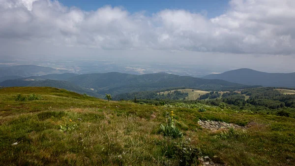 Krajobraz Zdjęcie Górskiego Pagórkowatego Środowiska Francuskiego Regionu Wogezów Haut Rhin — Zdjęcie stockowe