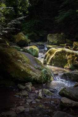Düşen su ve Mullerthal ormanındaki kayaların arasında küçük bir şelale, Lüksemburg 'da bir peri masalı.
