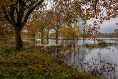 Güzel yağmurlu nehir Regge ve renkli sonbahar yapraklı ağaçlar Hankate köyünün yakınındaki Overijssel arazisinde.