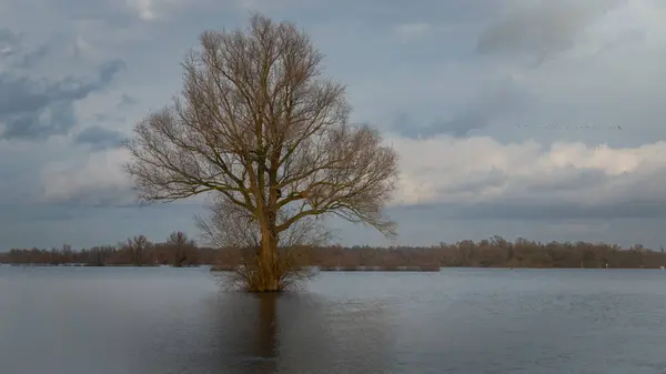 Oversvømte Oversvømmelsene Mange Turstiene Uker Med Kraftig Nedbør Forårsaket Klimaendringer stockfoto