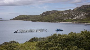 Salmon farm in the round basins and a blue fishing boat on the northwest coast of beautiful Scotland clipart