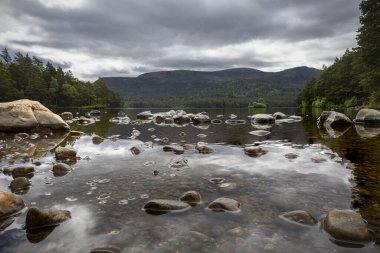 İskoçya 'nın kuzeybatısındaki Rothiemurchus Ormanı, Cairngorms Ulusal Parkı, İskoçya' daki Loch an Eilein gölünde suyun üzerinde yükselen taşlar.