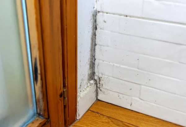 Condensation Mold Corner Wall Window Frame — Stock Photo, Image