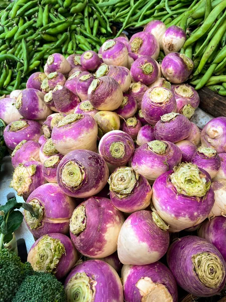 Close Organic White Purple Kohlrabi — Stock Photo, Image