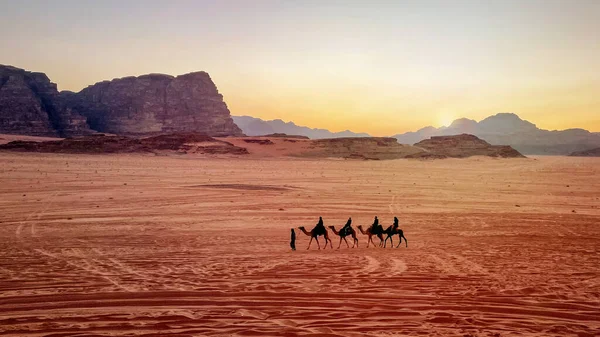 Wadi Rum 由骆驼组成的大篷车 在沙漠中 日落时分 群山耸立 — 图库照片