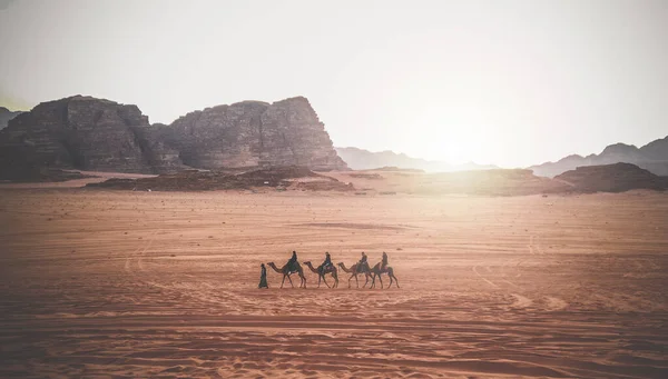 Jordan Wadi Rum Caravan Camels Drovers Desert Rock Mountains Sunset — Stock Photo, Image