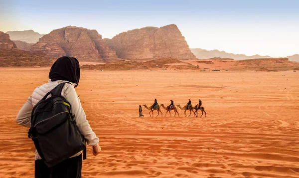 Wadi Rum 由骆驼组成的大篷车 在沙漠中 落日时分 群山摇曳 游客从后面看全景 — 图库照片