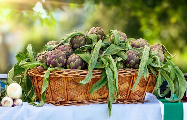 Basket Tuscan Artichokes Outdoors — Stock Photo, Image