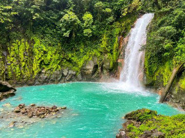 Kosta Rika yağmur ormanlarındaki görkemli şelale. Tropikal yürüyüş.