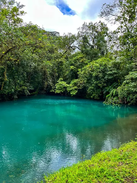 View Luminous Blue Rio Celeste Costa Rica — Stock Photo, Image