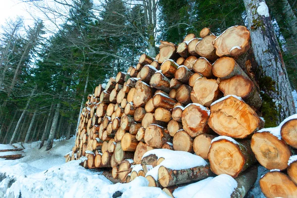 Logs Wood Cut Stacked Mountains Snow — Stock Photo, Image