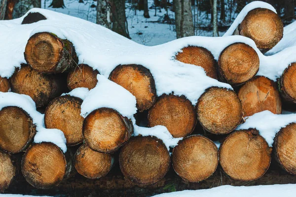Logs Wood Cut Stacked Mountains Snow — Stock Photo, Image