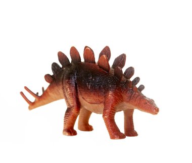 Beyaz arka planda bir Stegosaurus dinozorunun gerçekçi plastik modeli.