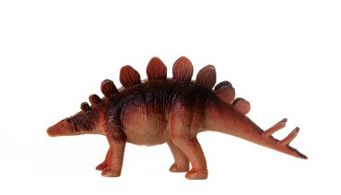 Beyaz arka planda bir Stegosaurus dinozorunun gerçekçi plastik modeli.