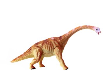 Eğitimsel amaçlar için gerçekçi mamenchisaurus dinazor model oyuncak, uzun boyunlu, beyaz arka planda izole plastik dinozor figürü.