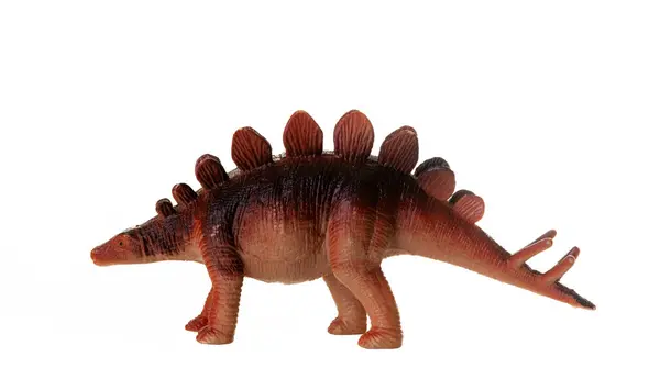 Modelo Plástico Realista Dinossauro Stegosaurus Fundo Branco Imagem De Stock